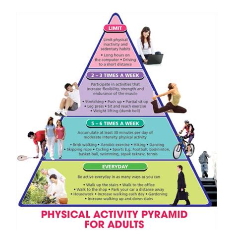 Free Philippine Physical Activity Pyramid Ideas | Exercises to Belly Fat