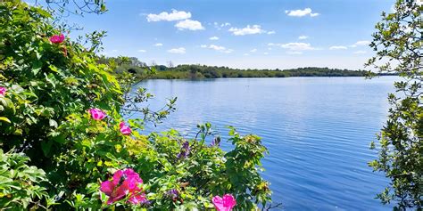 Chasewater Country Park Spring Plant Fair