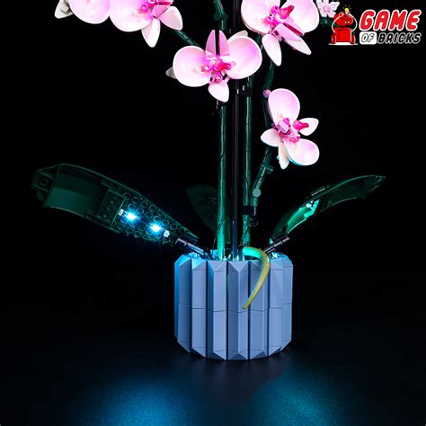 LEGO Orchid 10311 Light Kit