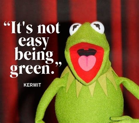 9 Quotes from Kermit the Frog the Puppet with a Lot to Say ...