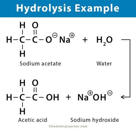 Divine Hydrolysis Chemical Equation Vectors In Mathematics Pdf