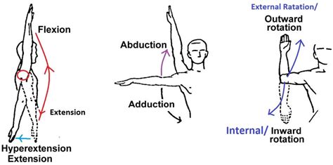 Shoulder Workout for Face Melting Deltoid Muscles - SpotMeBro.com