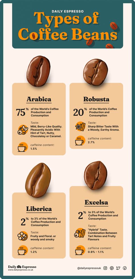 Types of Coffee Beans: All 4 Species Explained + Pictures