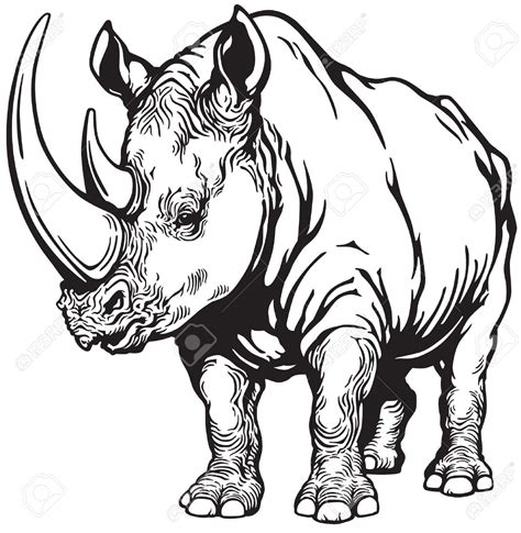 Rhino Head Drawing | Free download on ClipArtMag