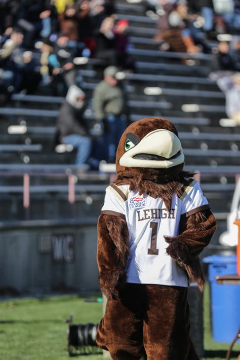 Former Lehigh athletes talk about Lehigh's mascot - The Brown and White