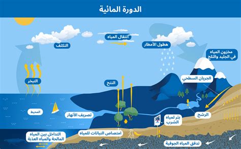 العلماء يدرسون تلوث المياه الجوفية وكيفية ضمان استدامتها | IAEA