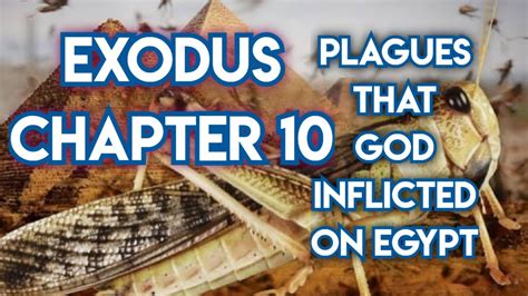 THE HOLY BIBLE | EXODUS CHAPTER 10 (KJV) - YouTube