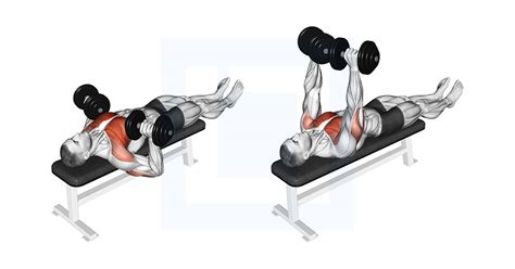 Dumbbell Incline Hammer Press - Guide, Benefits, and Form