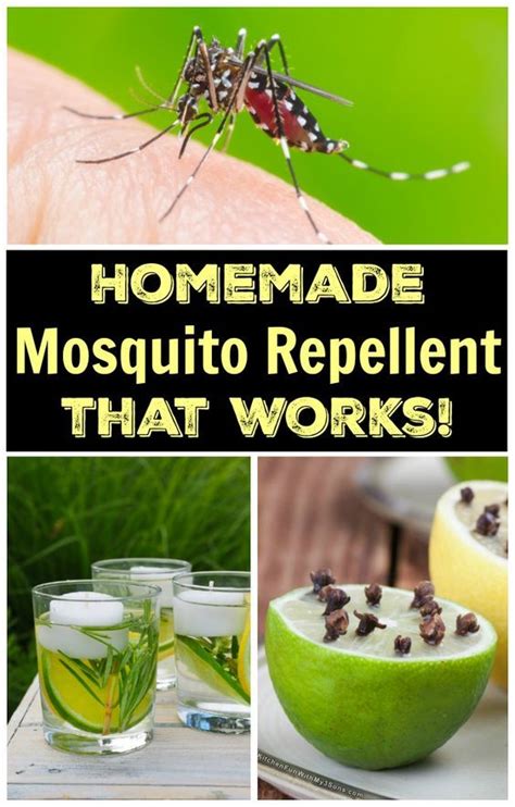 How To Make Natural Homemade Mosquito Repellent with only 5-ingredients ...