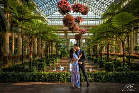 Longwood Gardens Archives - Phila and NJ Wedding Photographer