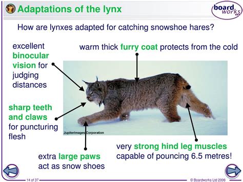 PPT - Different types of environment PowerPoint Presentation, free ...