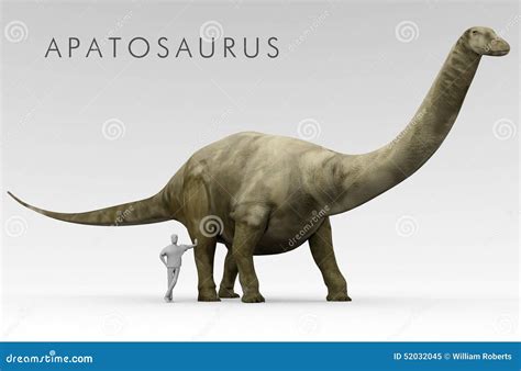 Apatosaurus Aka Brontosaurus Royalty-Free Stock Photo | CartoonDealer ...