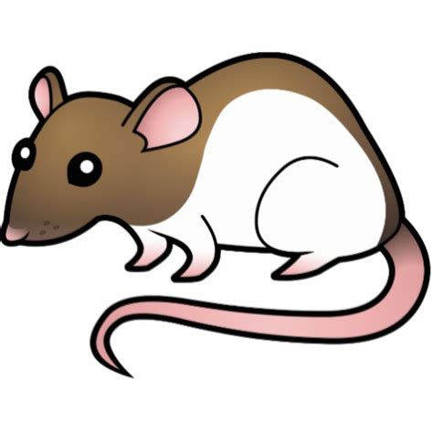 Cartoon Rat Pictures - Cute and Adorable Rat Illustrations