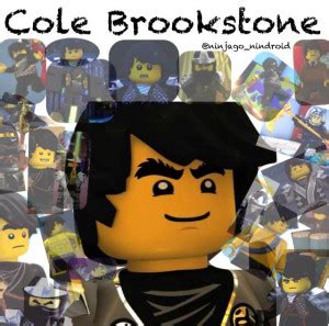 Ninjago Cole Quotes. QuotesGram