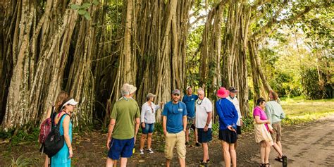 The Most Beautiful National Parks in Cuba | Cuba Unbound