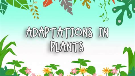 Adaptation in plants - Online Science Notes