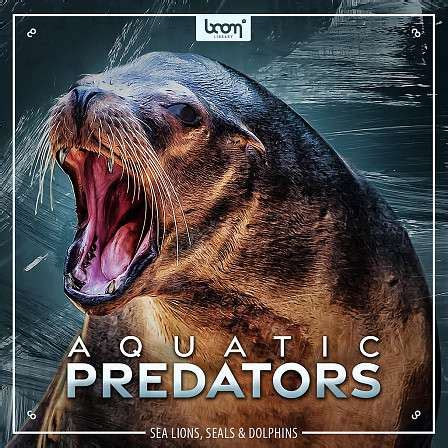 Big Fish Audio - Aquatic Predators - Sounds of sea lions, seals ...