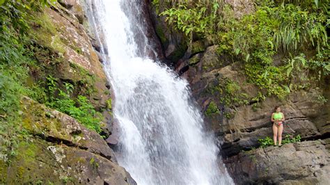 El Yunque National Forest, PR holiday rentals: houses & more | Vrbo