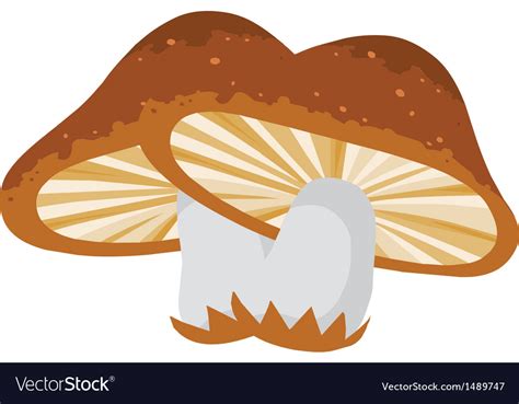 Mushroom Royalty Free Vector Image - VectorStock