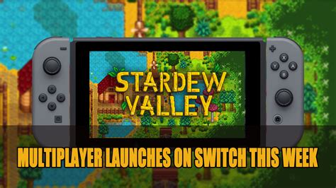 Stardew Valley Gets Multiplayer Support on Nintendo Switch This Week ...