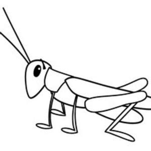 cricket insect clipart black and white 10 free Cliparts | Download ...