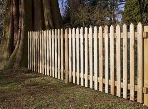 Pointed Top Picket Fencing | The Garden Trellis Company