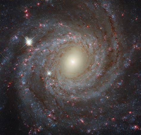 Newly Released Hubble Image of Spiral Galaxy NGC 3344