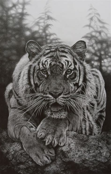 70 best WILDLIFE ART images on Pinterest | Wildlife art, Pencil art and ...