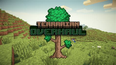 Terrarian Overhaul: A Terraria-Minecraft Mod | MCreator