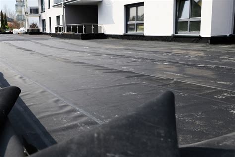 Signs of Flat Roof Maintenance