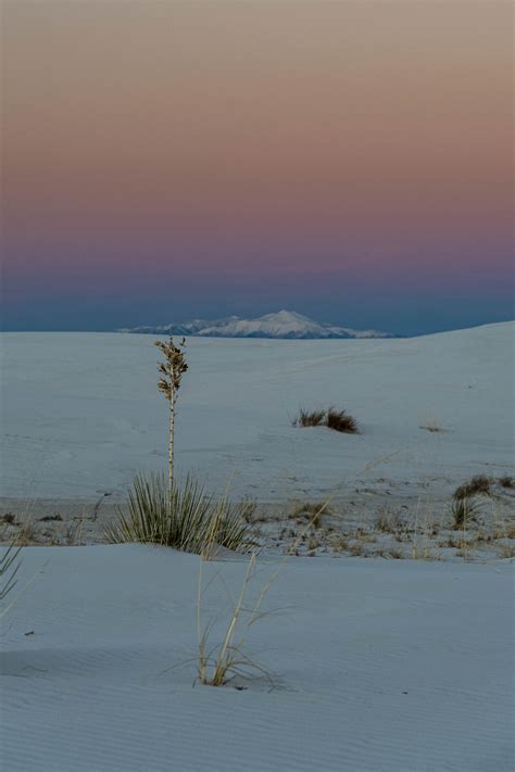 White Sands after sunset White Sands National... | Staudnhuckn