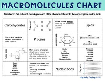 Macromolecules Chart Structures