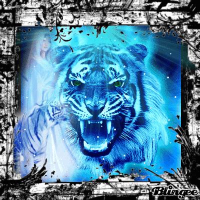 tiger roar Animated Picture Codes and Downloads #105127473,549813904 ...