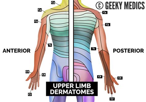 Upper Limb Neurological Examination - OSCE Guide | Geeky Medics