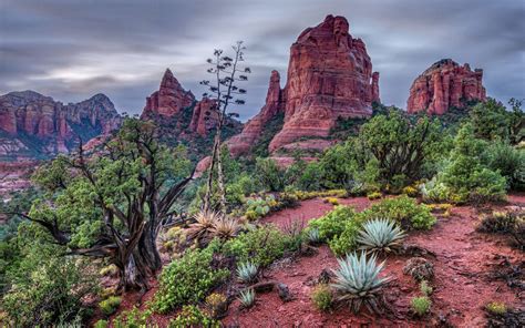 Sedona Wallpapers - Top Free Sedona Backgrounds - WallpaperAccess