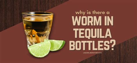 Why Is There a Worm in Tequila Bottles? (2024 Best Edition)