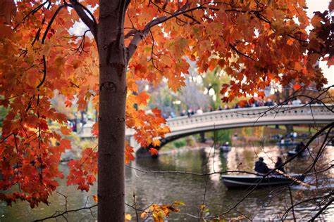 The Best Places to See Fall Foliage in Central Park