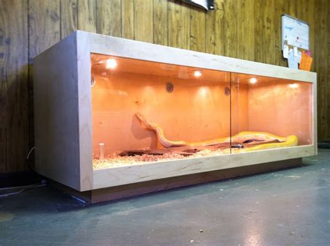 Herp Homes! in 2024 | Snake cages, Diy reptile, Snake enclosure