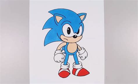 How to Draw a Sonic step by step - Sonic the Hedgehog - Entertainment ...