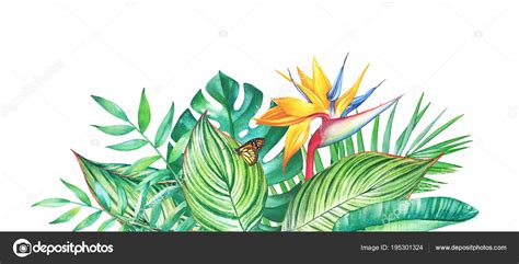 Acuarela Plantas tropicales: fotografía de stock © LyubovTolstova ...