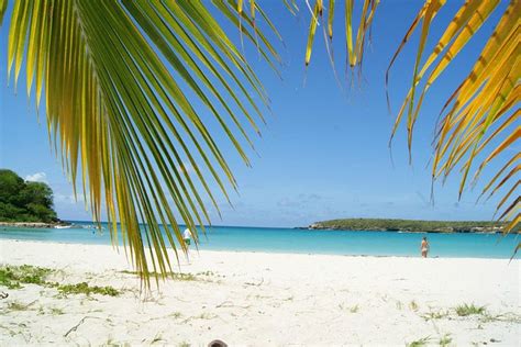 Isla de Vieques 2023: Best Places to Visit - Tripadvisor