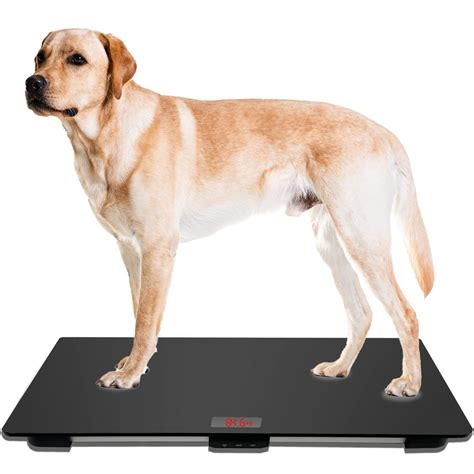 MINDPET-MED Pet Scale for Large Dog, Veterinary Scale with Non-Slip Mat ...