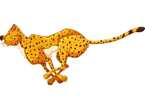 cheetah running - Clipart World