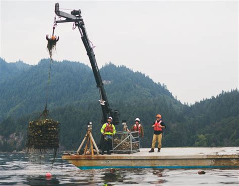 Our Farms | Taylor Shellfish Farms, Seattle WA