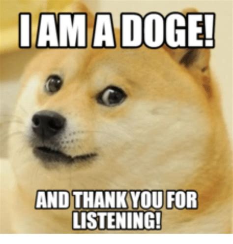 Thank You Meme Dog