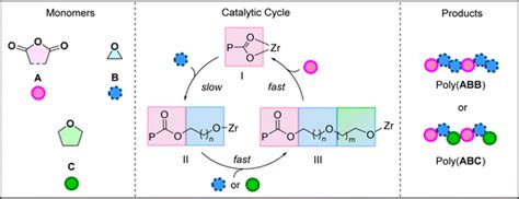 Cyclic ether and anhydride ring opening copolymerisation delivering new ...