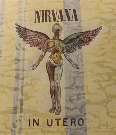 in utero album cover drawing | Album covers, Drawings, Grunge