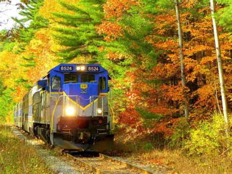 Take This Fall Foliage Train Ride Through Oregon For A One-Of-A-Kind ...