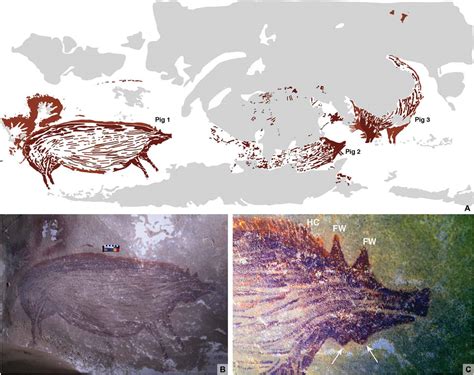 Oldest Cave Painting Observed In Sulawesi, Indonesia l Pig