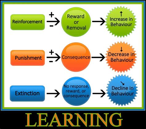 Reinforcers and Behavior Changes - Management Guru | Management Guru